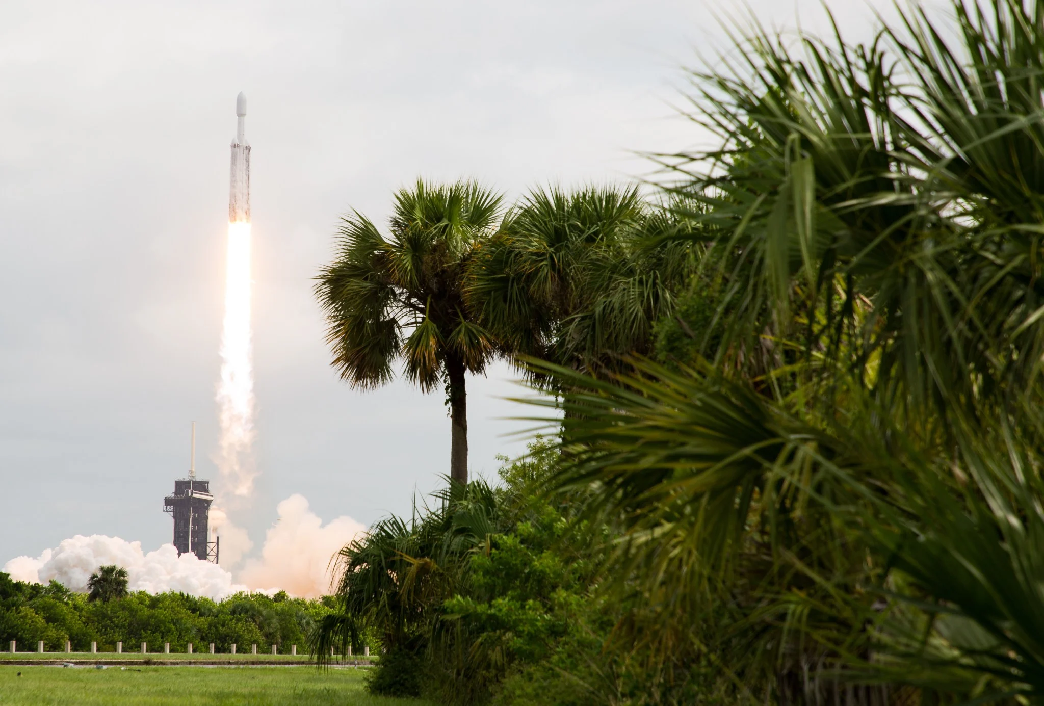A Falcon Heavy rocket rises above its launch tower on bright exhaust, with palm trees in the foreground.
