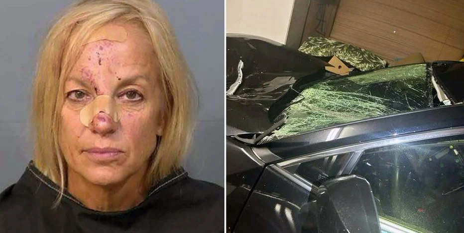 Brevard woman charged with DUI after deputies say she hit and killed a horse
