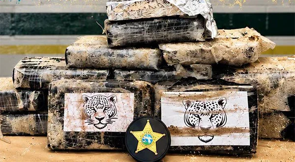 Drugs recovered