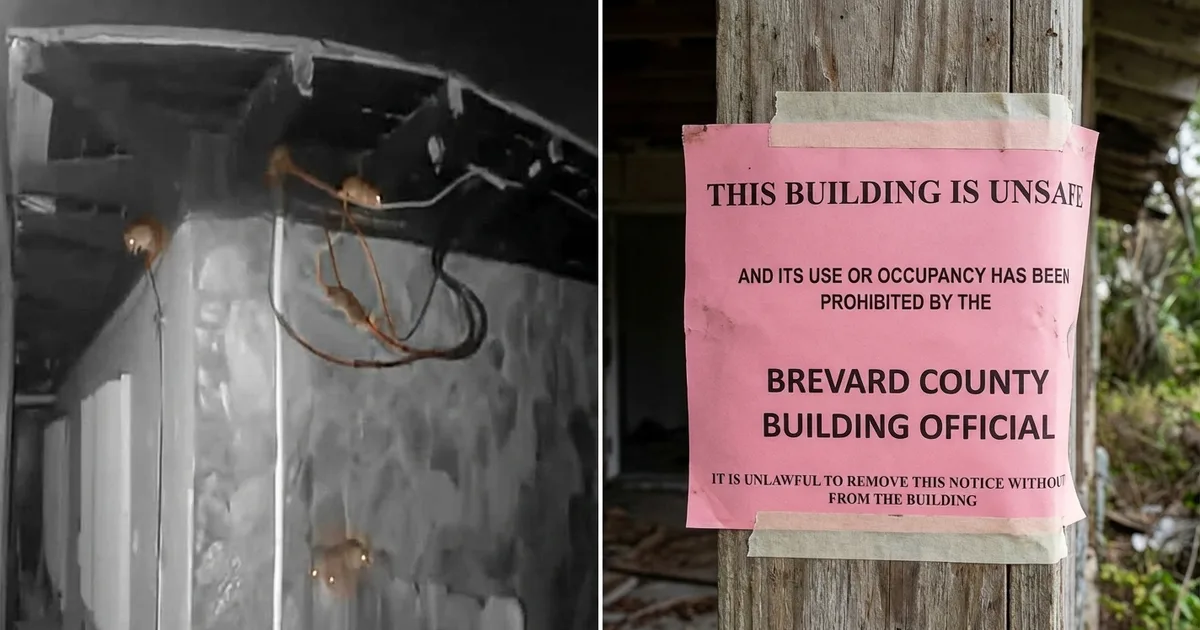 Rat Infestation Spreading from Abandoned Indialantic Home as Residents Seek Solutions