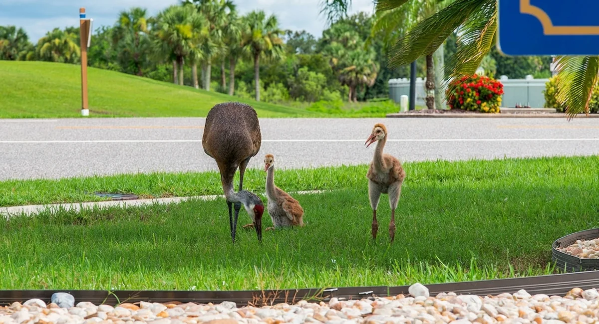 Spring Arrives on the Space Coast as Weather Turns Attention to Alaska
